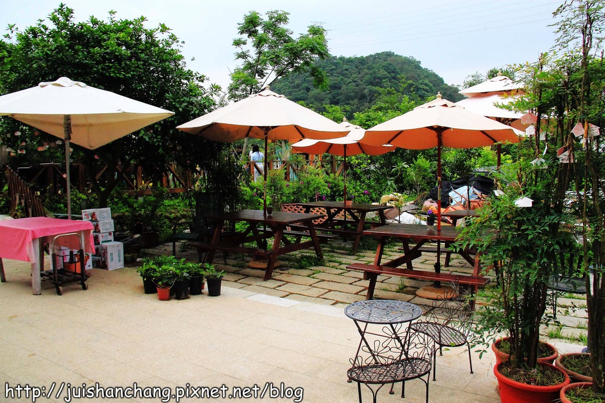 【遊記—台北內湖】白石湖吊橋遇見百合花（5/31花況）