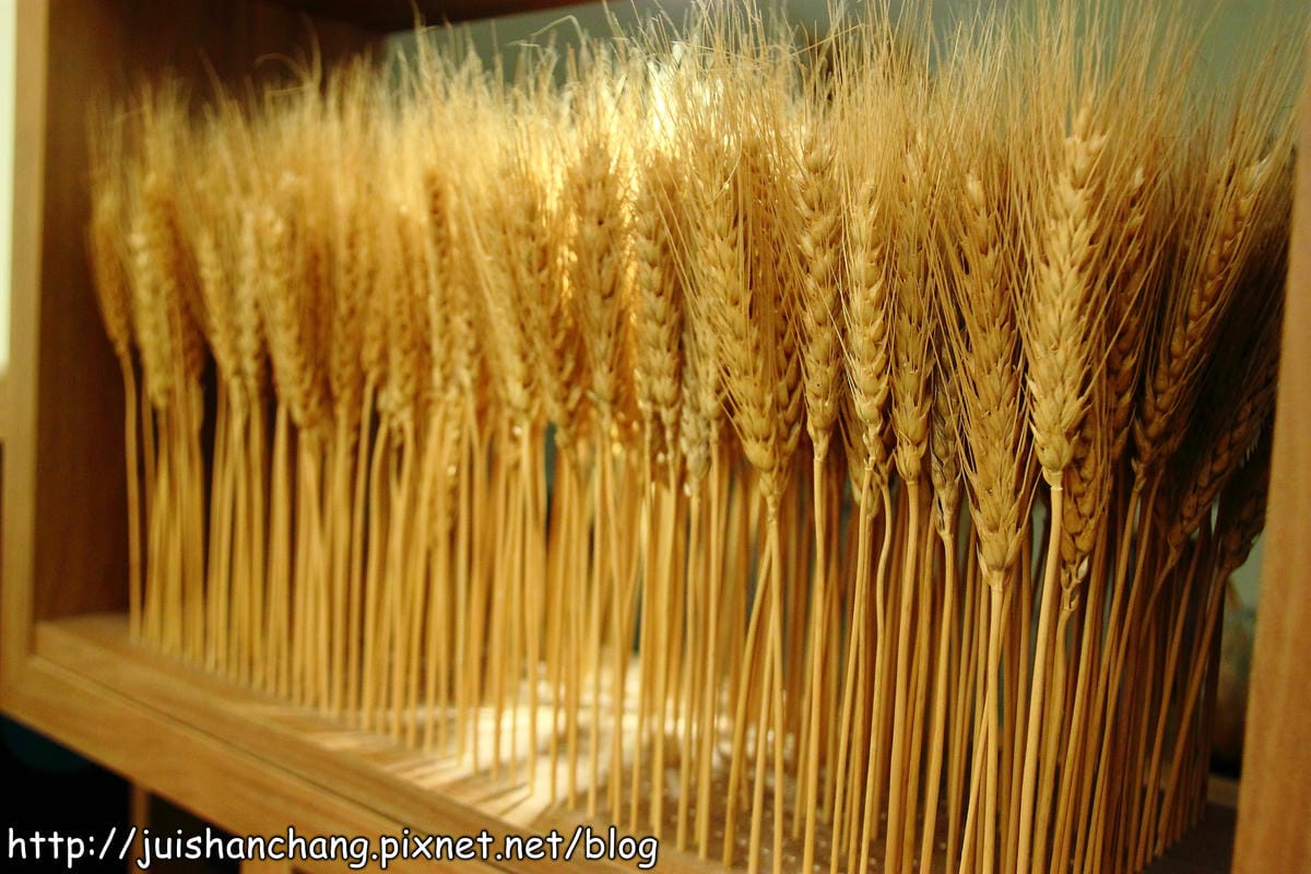 【食記—彰化】Butter 巴特早午餐～非吃不可！殺再遠也要吃到它！