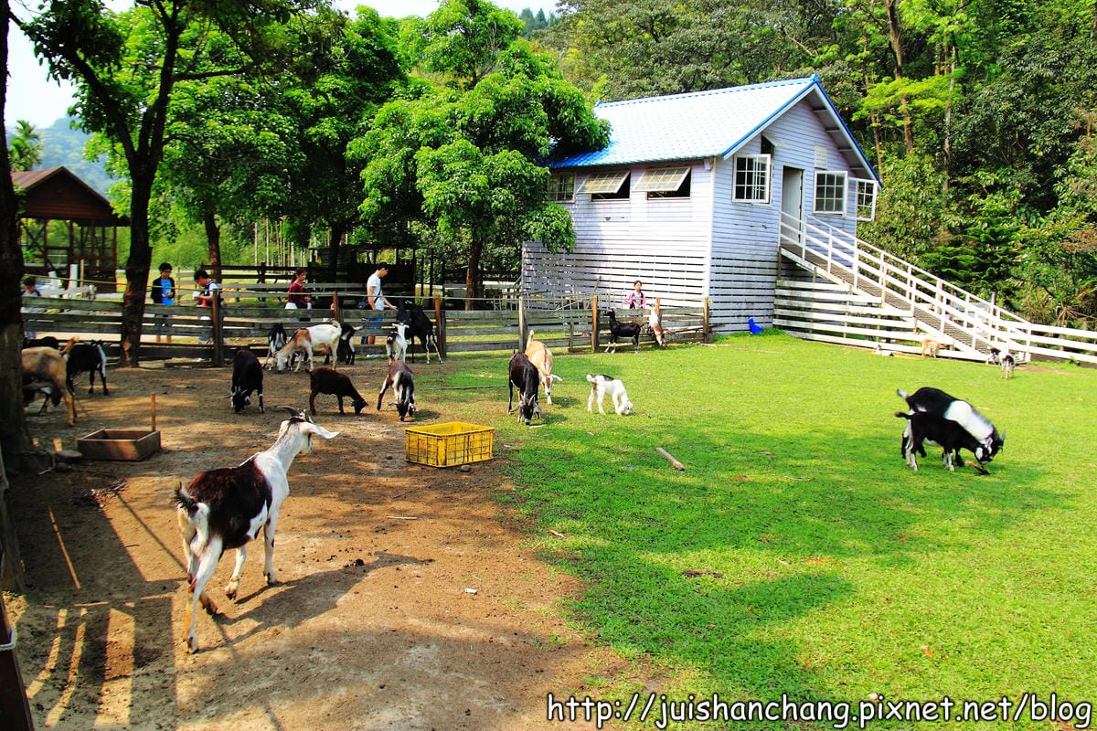 【遊記—新北三峽】皇后鎮森林～涼夏消暑樂一下！