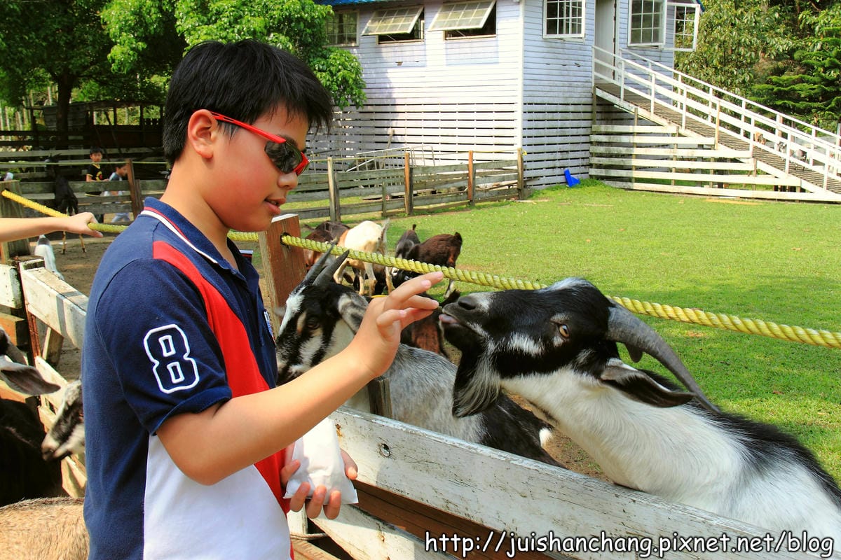 【遊記—新北三峽】皇后鎮森林～涼夏消暑樂一下！