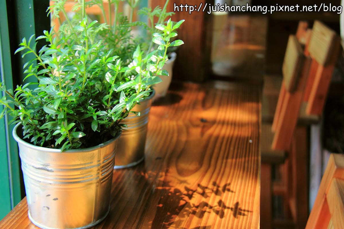 【遊記—新北三峽】皇后鎮森林～涼夏消暑樂一下！