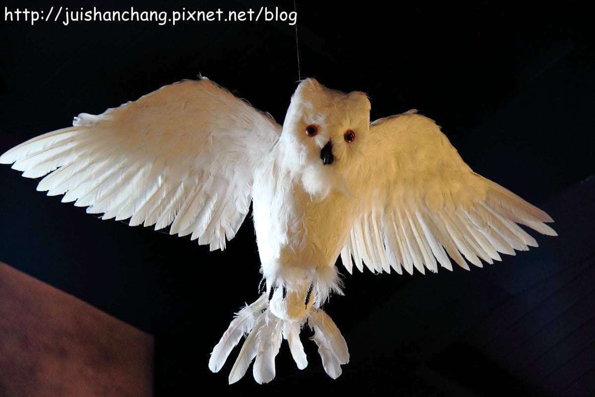 【遊記—宜蘭】四圍堡車站～哈利波特的霍格華茲魔法學院，開學囉！