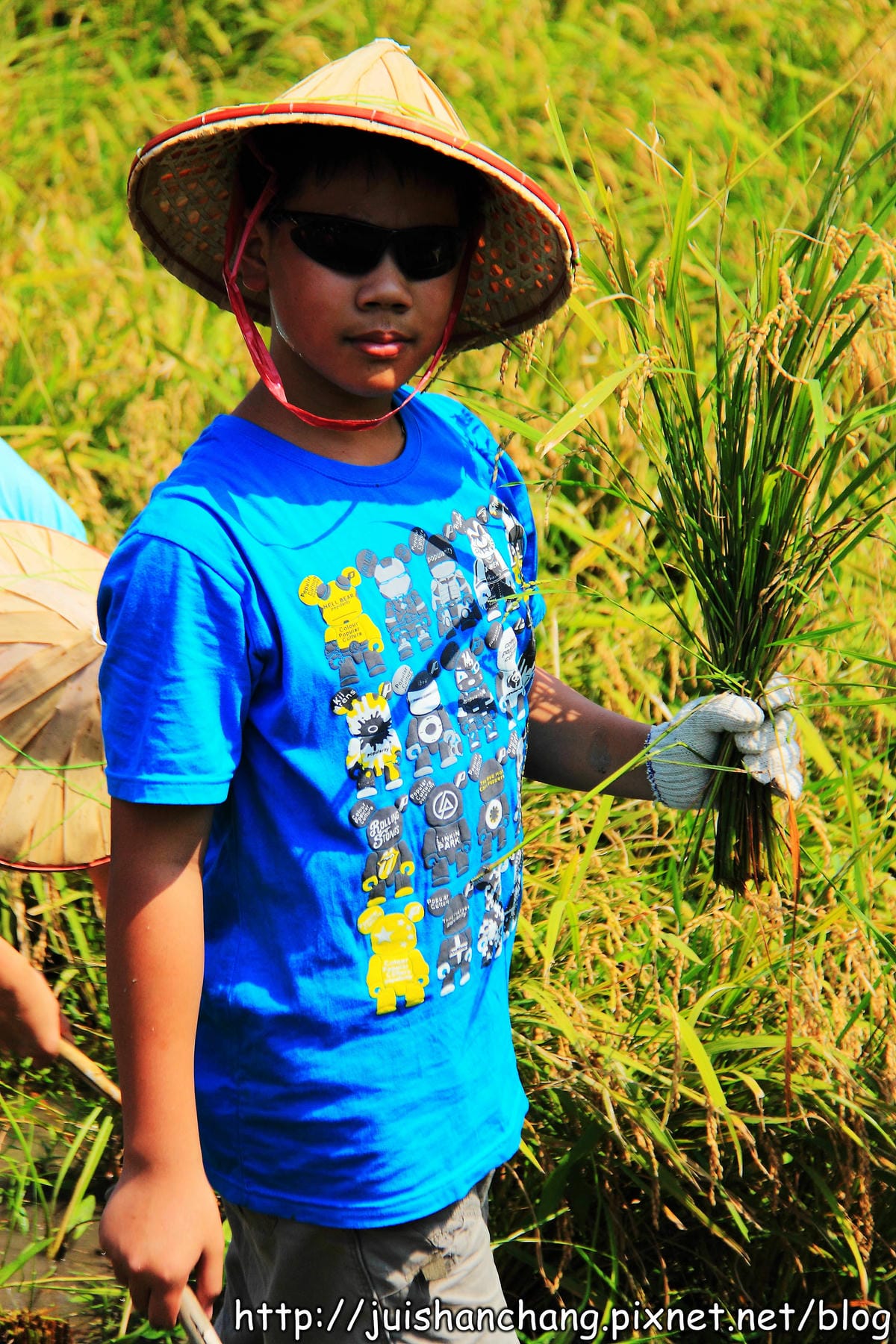 【廣宣—新北石門】嵩山社區幸福農村～一日農夫體驗，下田囉！
