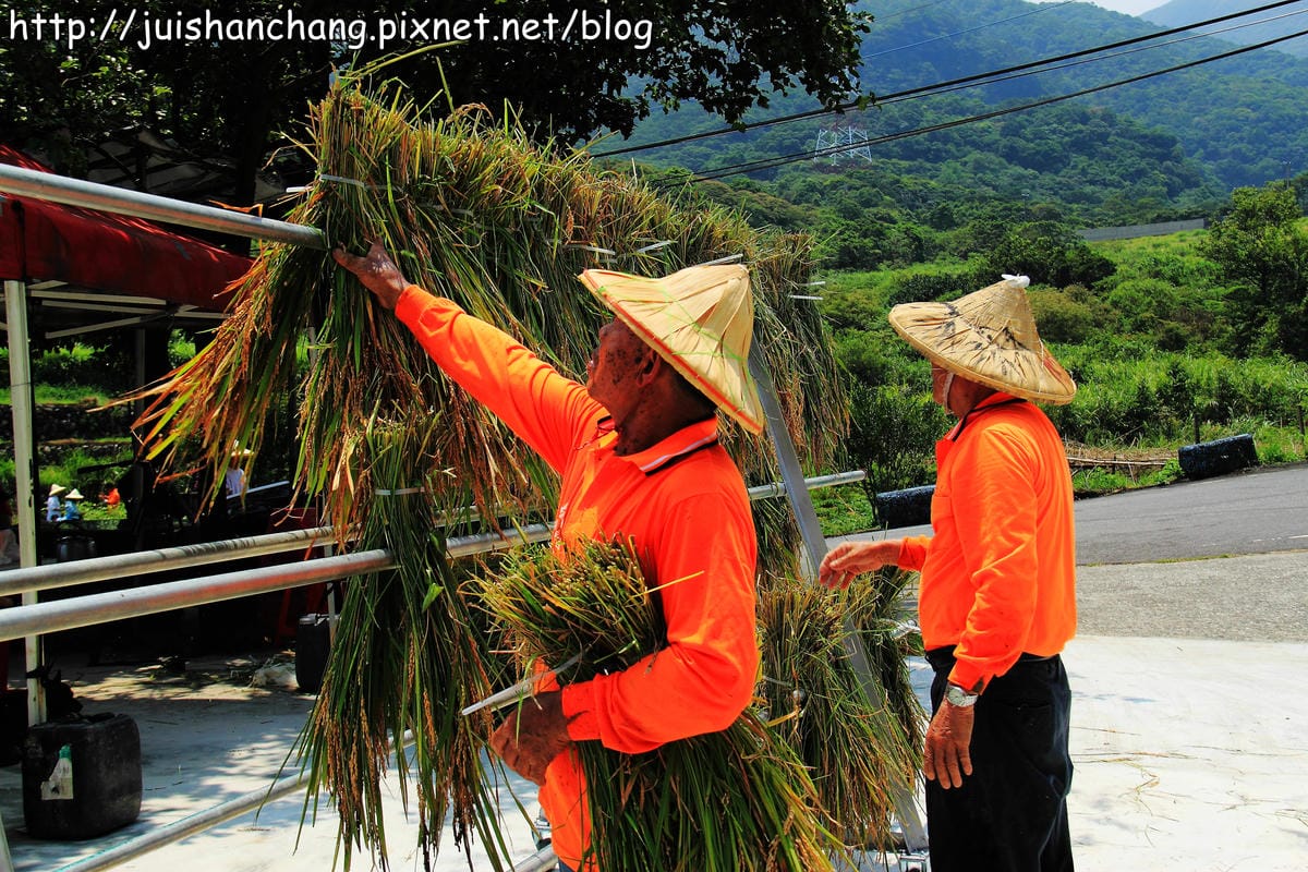 【廣宣—新北石門】嵩山社區幸福農村～一日農夫體驗，下田囉！