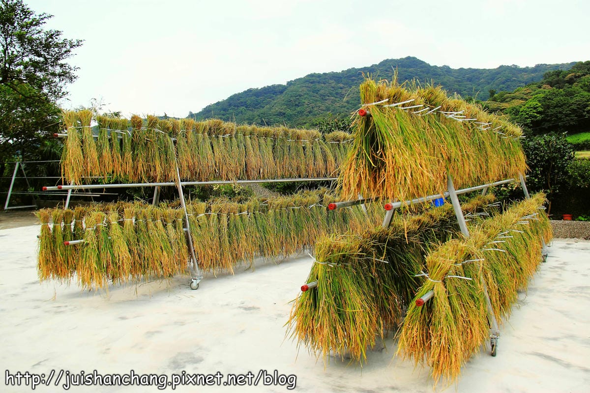 【廣宣—新北石門】嵩山社區幸福農村～一日農夫體驗，下田囉！