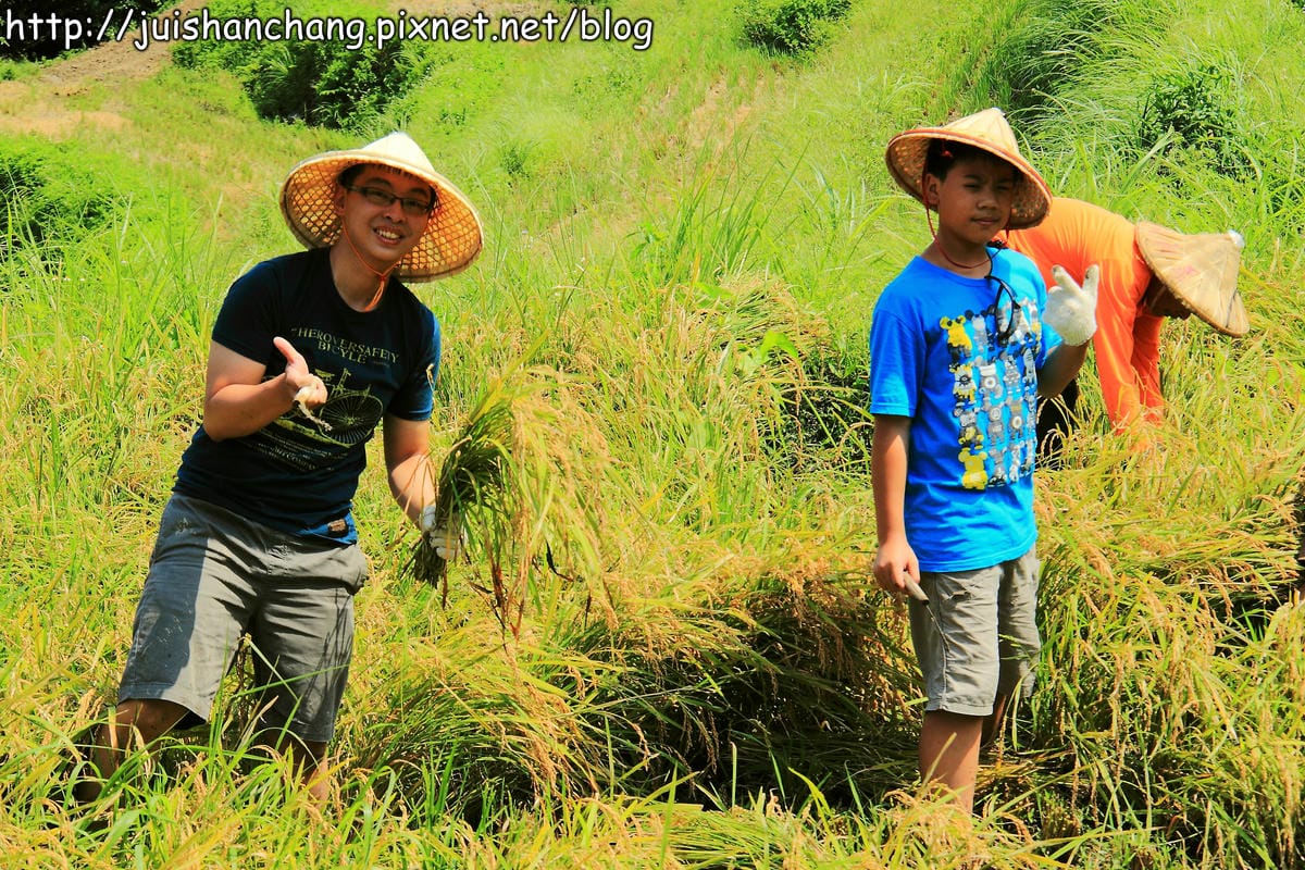 【廣宣—新北石門】嵩山社區幸福農村～一日農夫體驗，下田囉！