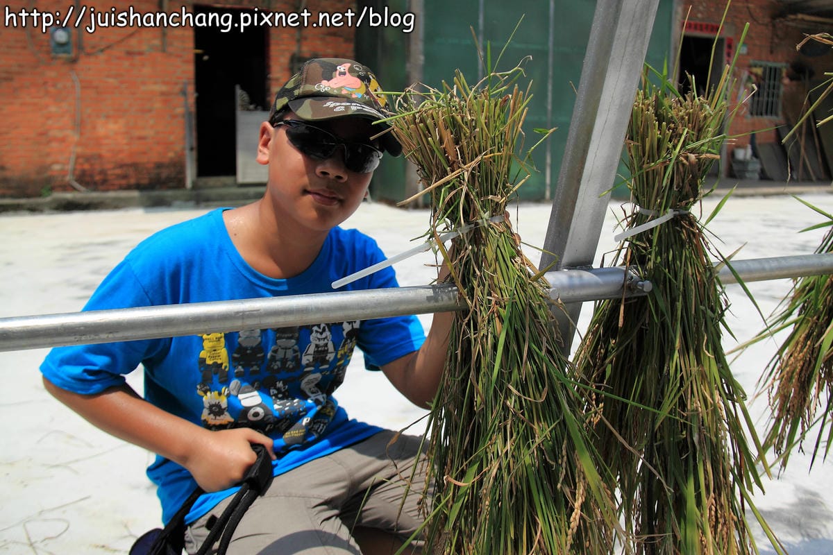 【廣宣—新北石門】嵩山社區幸福農村～一日農夫體驗，下田囉！