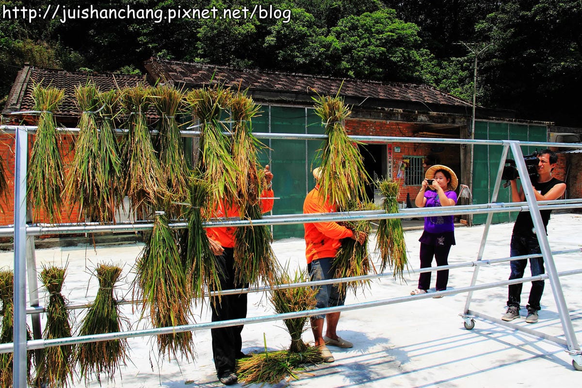 【廣宣—新北石門】嵩山社區幸福農村～一日農夫體驗，下田囉！