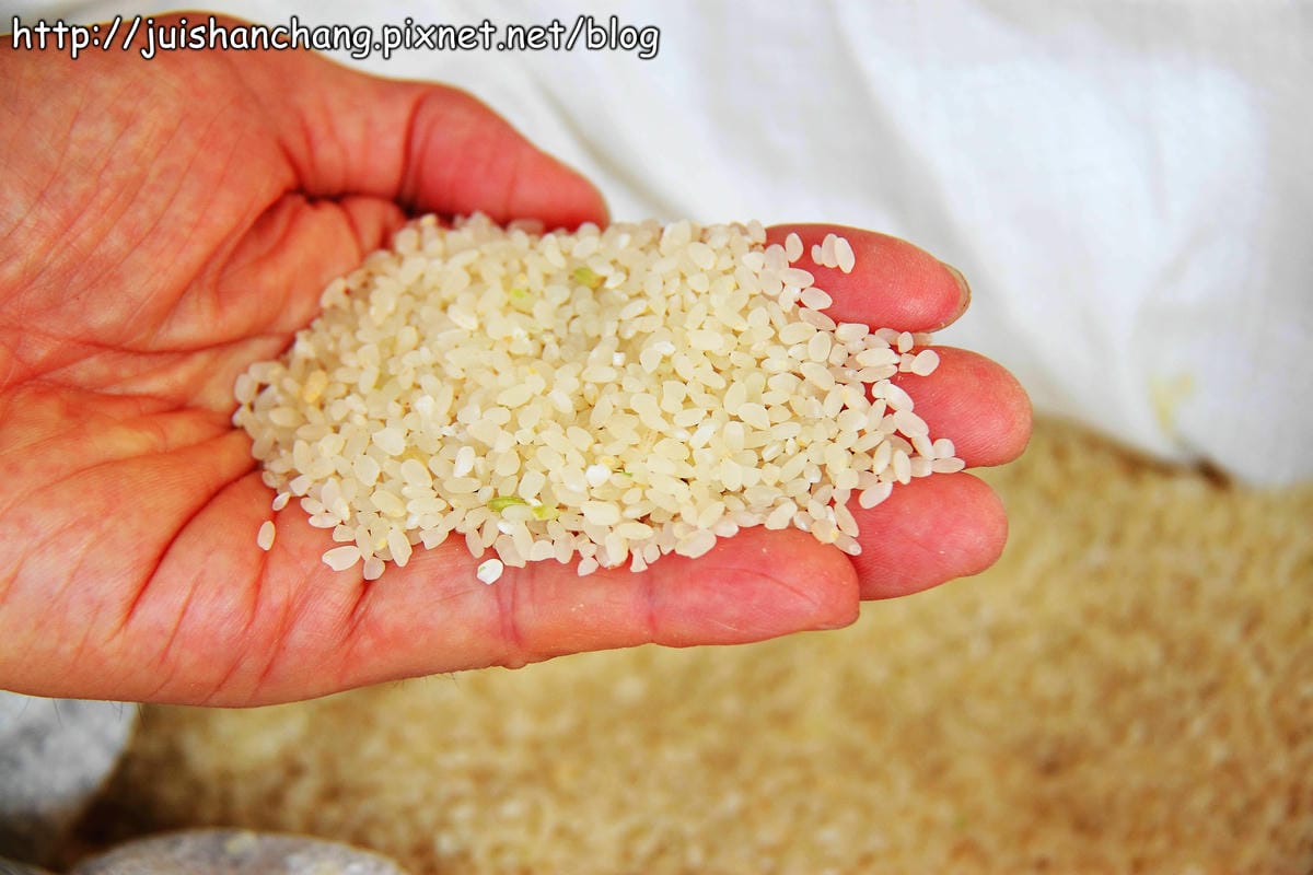 【廣宣—新北石門】嵩山社區幸福農村～一日農夫體驗，下田囉！