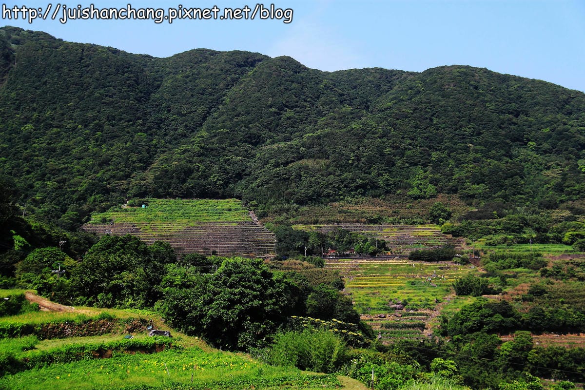 【廣宣—新北石門】嵩山社區幸福農村～一日農夫體驗，下田囉！