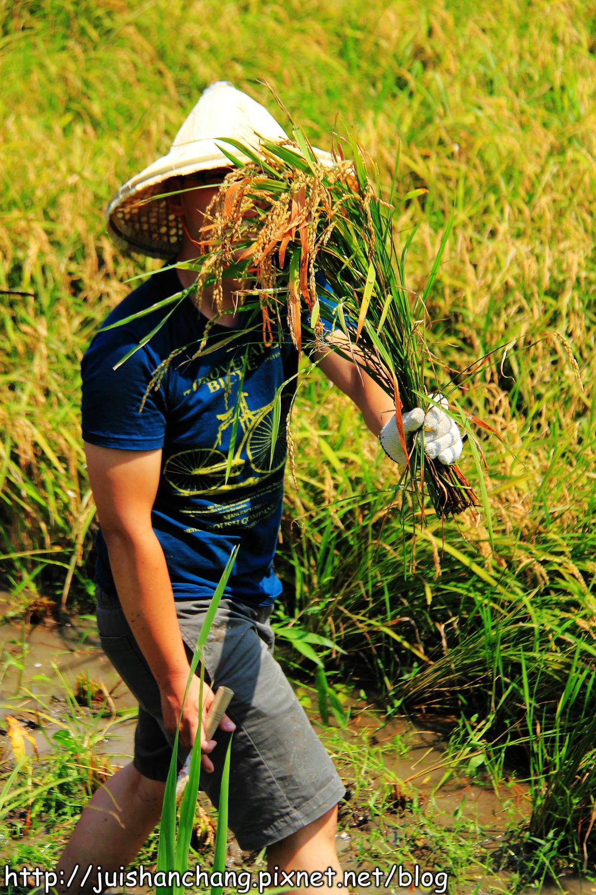 【廣宣—新北石門】嵩山社區幸福農村～一日農夫體驗，下田囉！