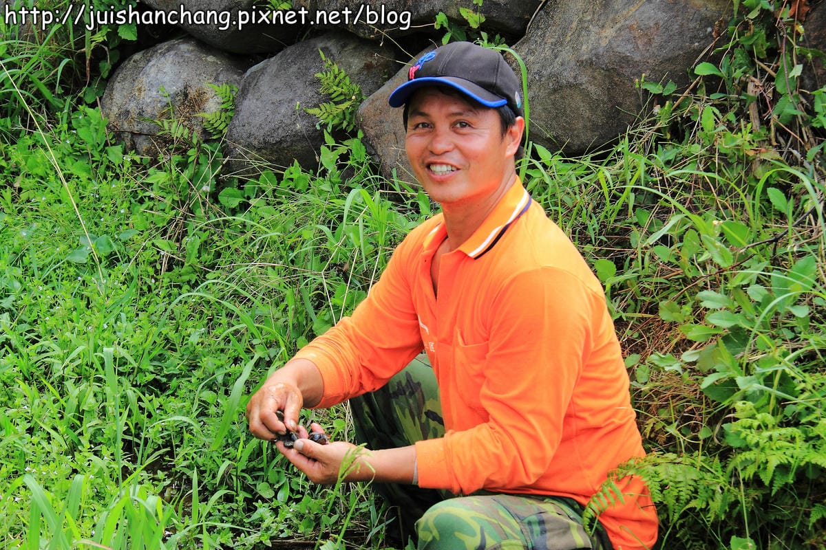 【廣宣—新北石門】嵩山社區幸福農村～一日農夫體驗，下田囉！