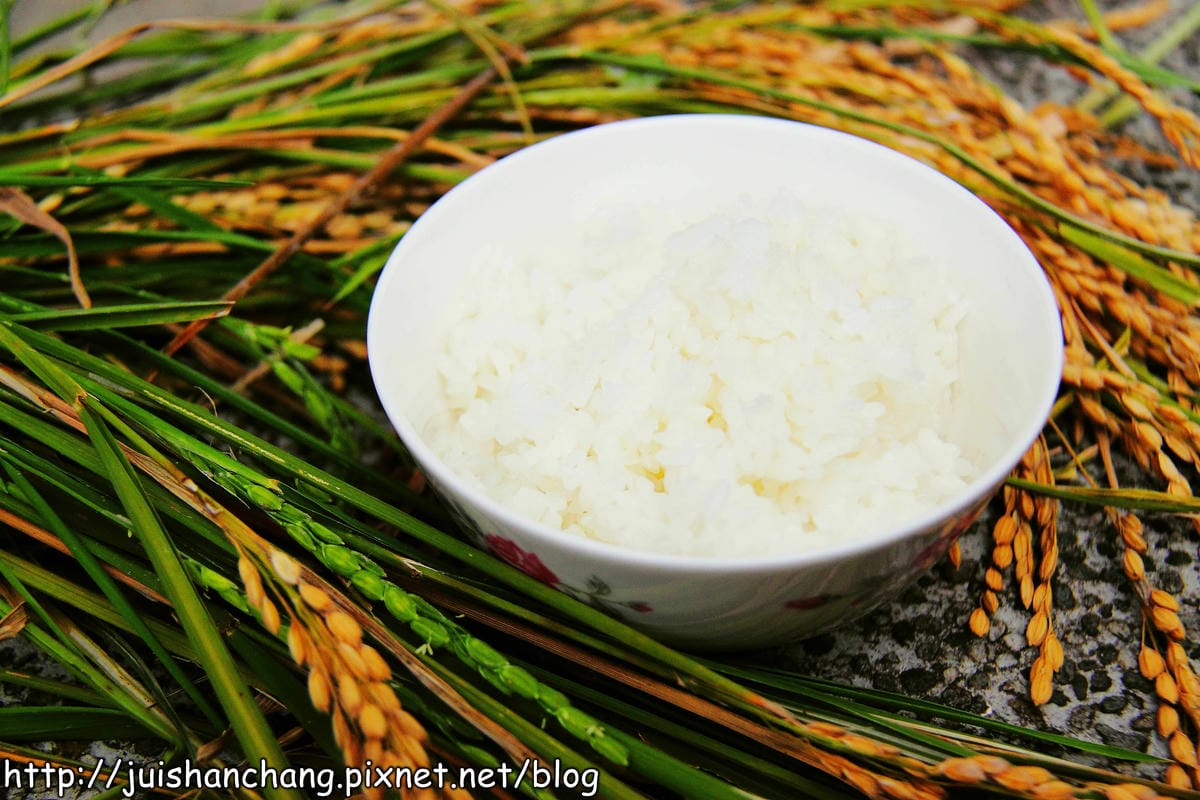 【廣宣—新北石門】嵩山社區幸福農村～一日農夫體驗，下田囉！