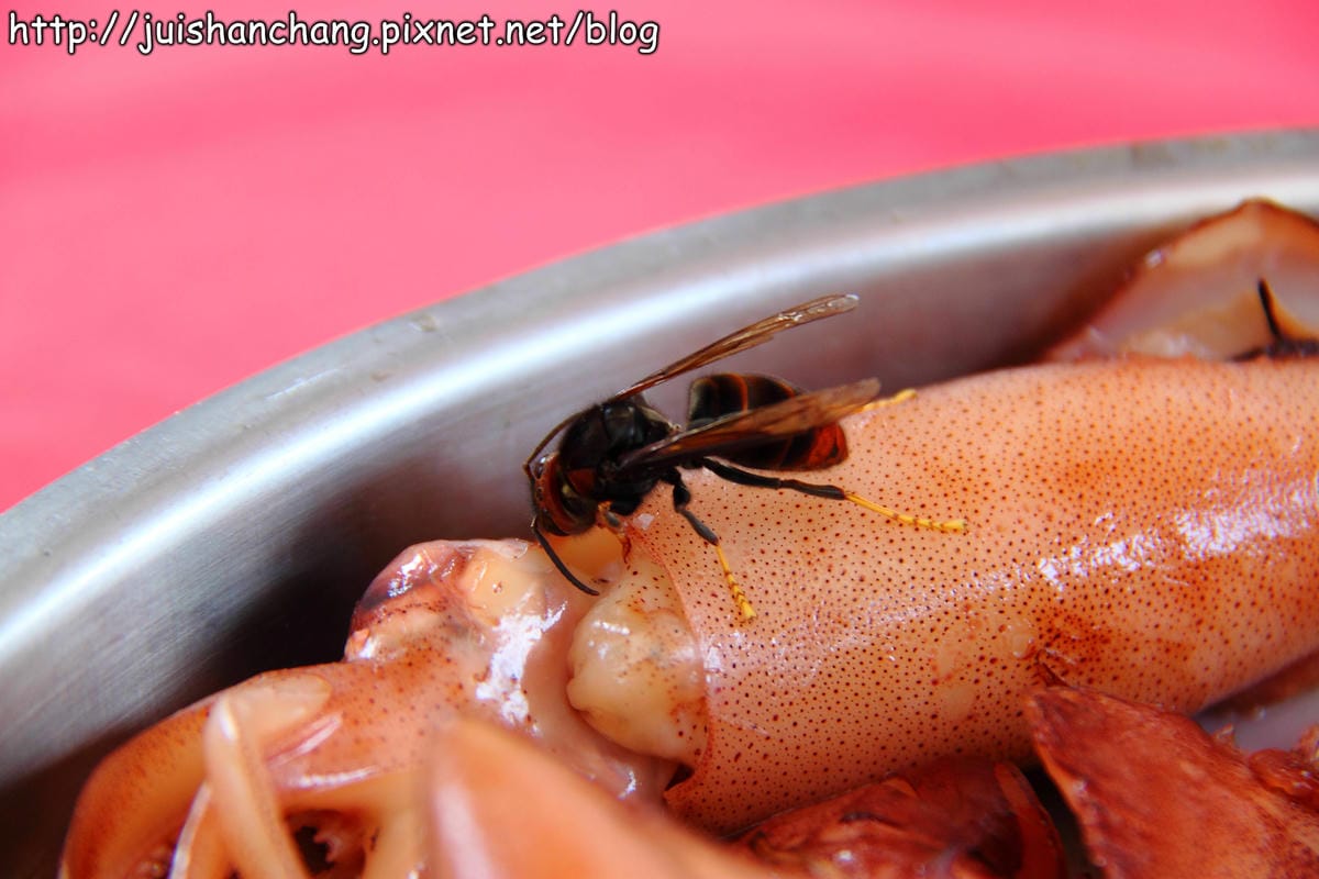 【廣宣—新北石門】嵩山社區幸福農村～一日農夫體驗，下田囉！