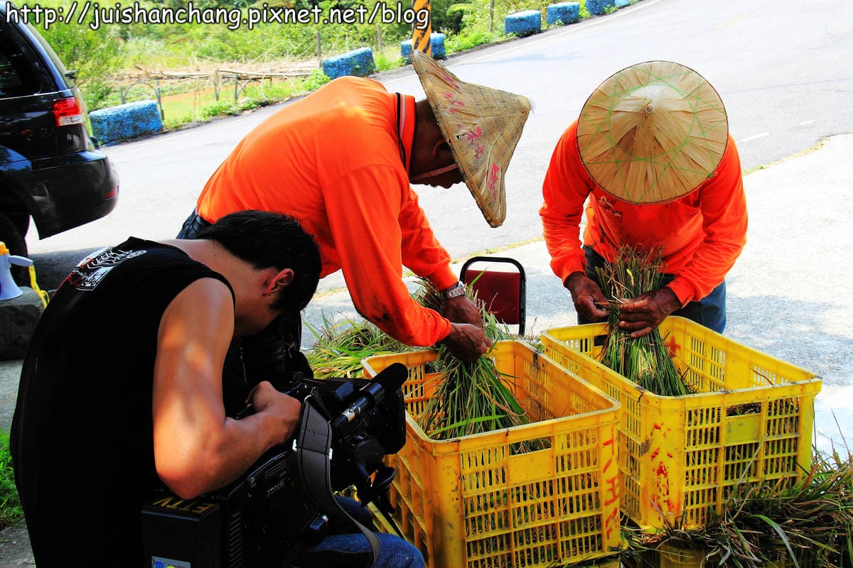 【廣宣—新北石門】嵩山社區幸福農村～一日農夫體驗，下田囉！