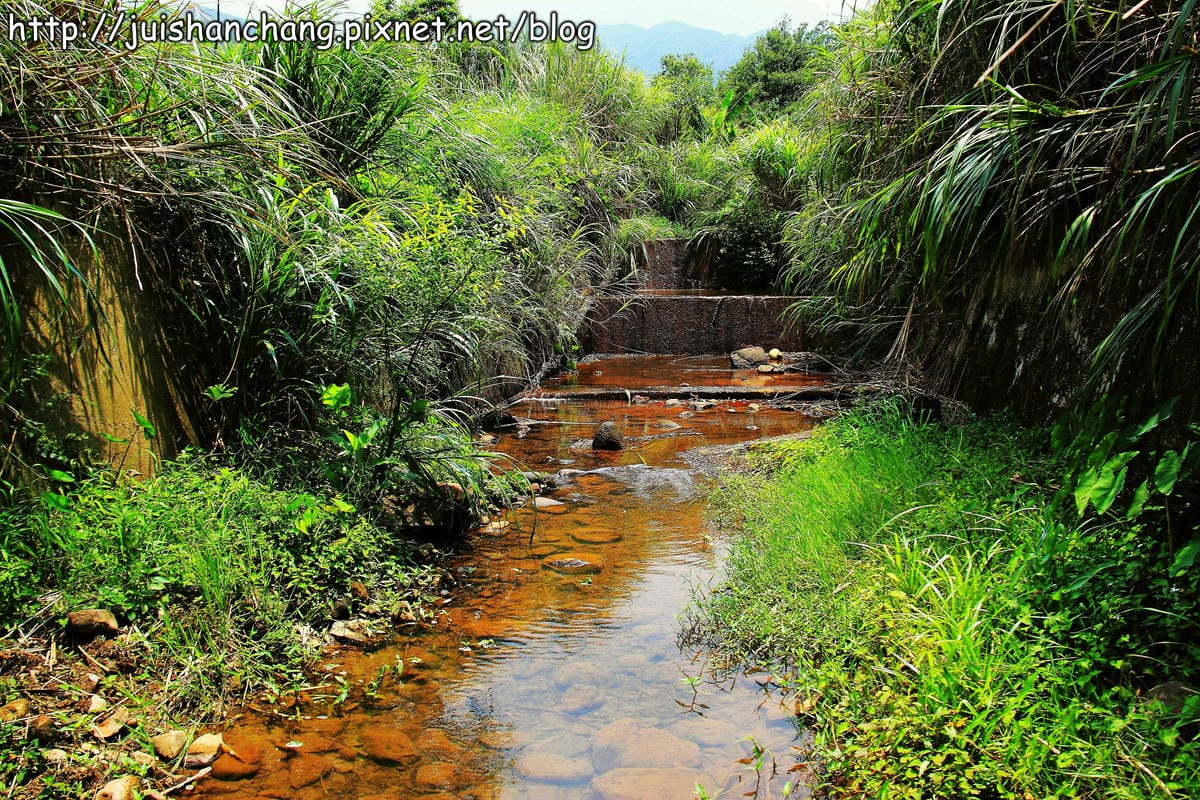 【廣宣—新北石門】嵩山社區幸福農村～一日農夫體驗，下田囉！