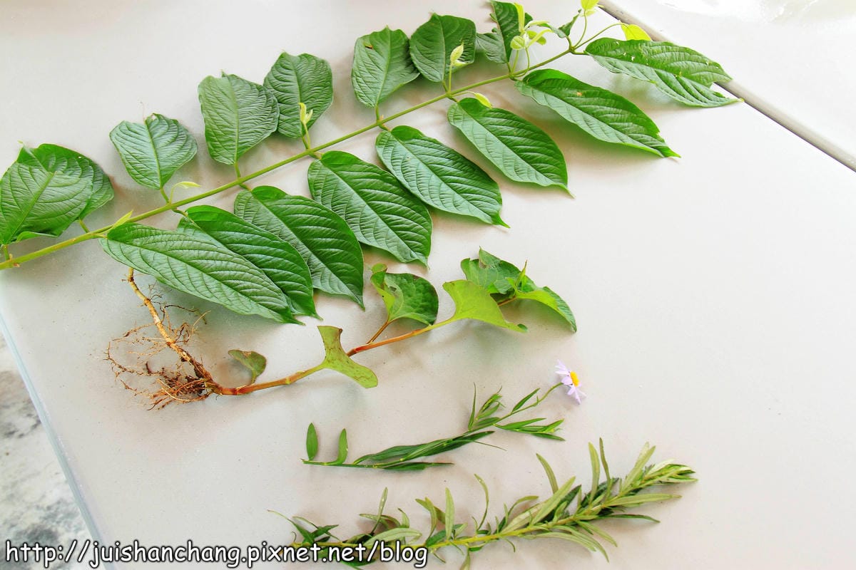 【廣宣—新北石門】嵩山社區幸福農村～一日農夫體驗，下田囉！