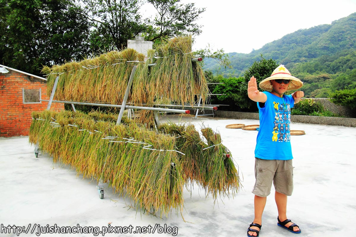 【廣宣—新北石門】嵩山社區幸福農村～一日農夫體驗，下田囉！