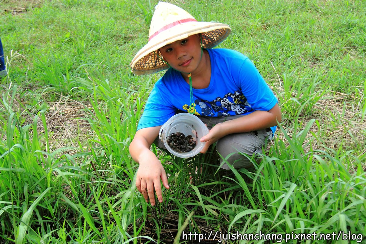 【廣宣—新北石門】嵩山社區幸福農村～一日農夫體驗，下田囉！