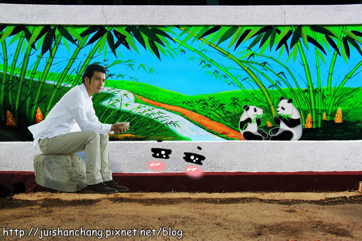 【遊記—雲林斗南】石龜溪の貓熊彩繪村～圓仔從動物園落跑了？！