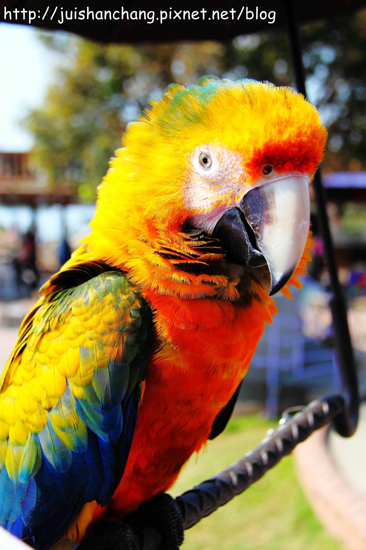 【南投猴探井旅遊景點】星月天空景觀餐廳～擁抱360度美景！