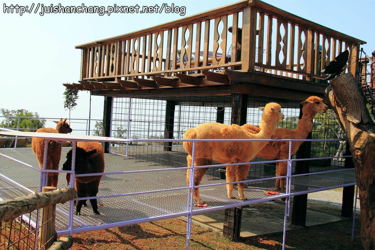 【南投猴探井旅遊景點】星月天空景觀餐廳～擁抱360度美景！