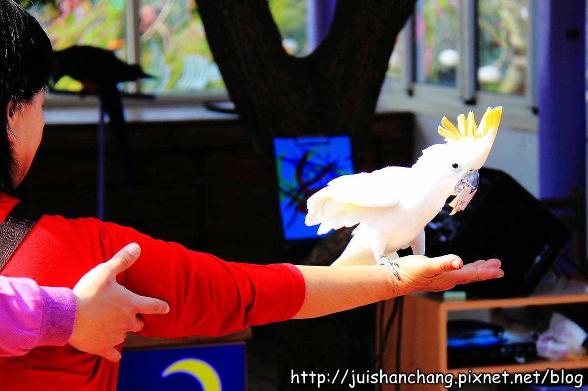 【南投猴探井旅遊景點】星月天空景觀餐廳～擁抱360度美景！