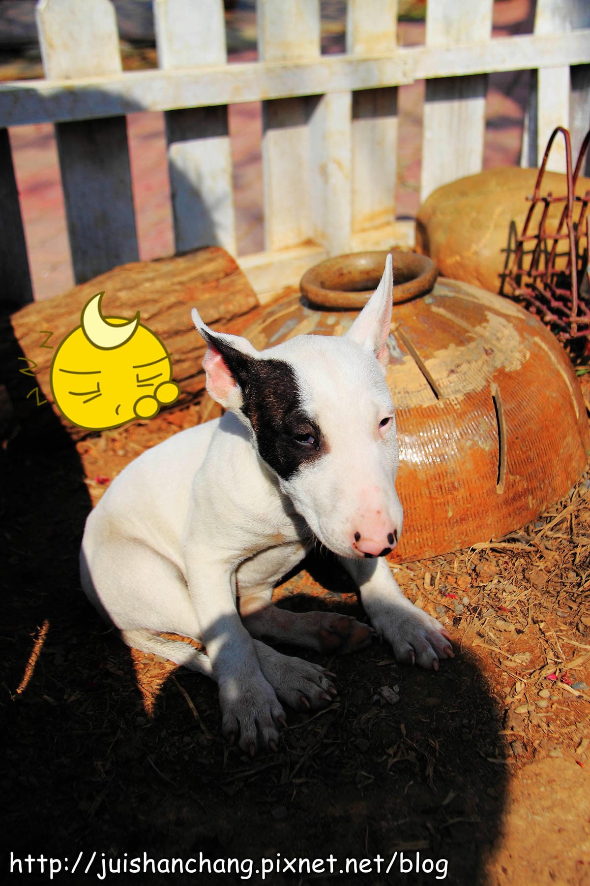 【南投猴探井旅遊景點】星月天空景觀餐廳～擁抱360度美景！