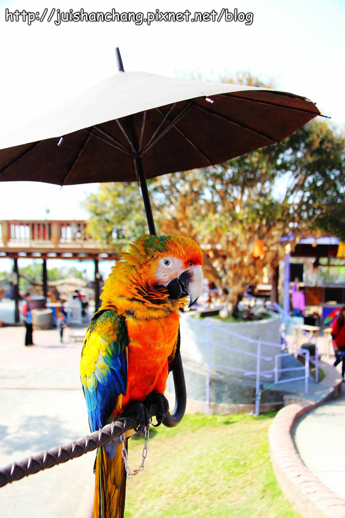 【南投猴探井旅遊景點】星月天空景觀餐廳～擁抱360度美景！