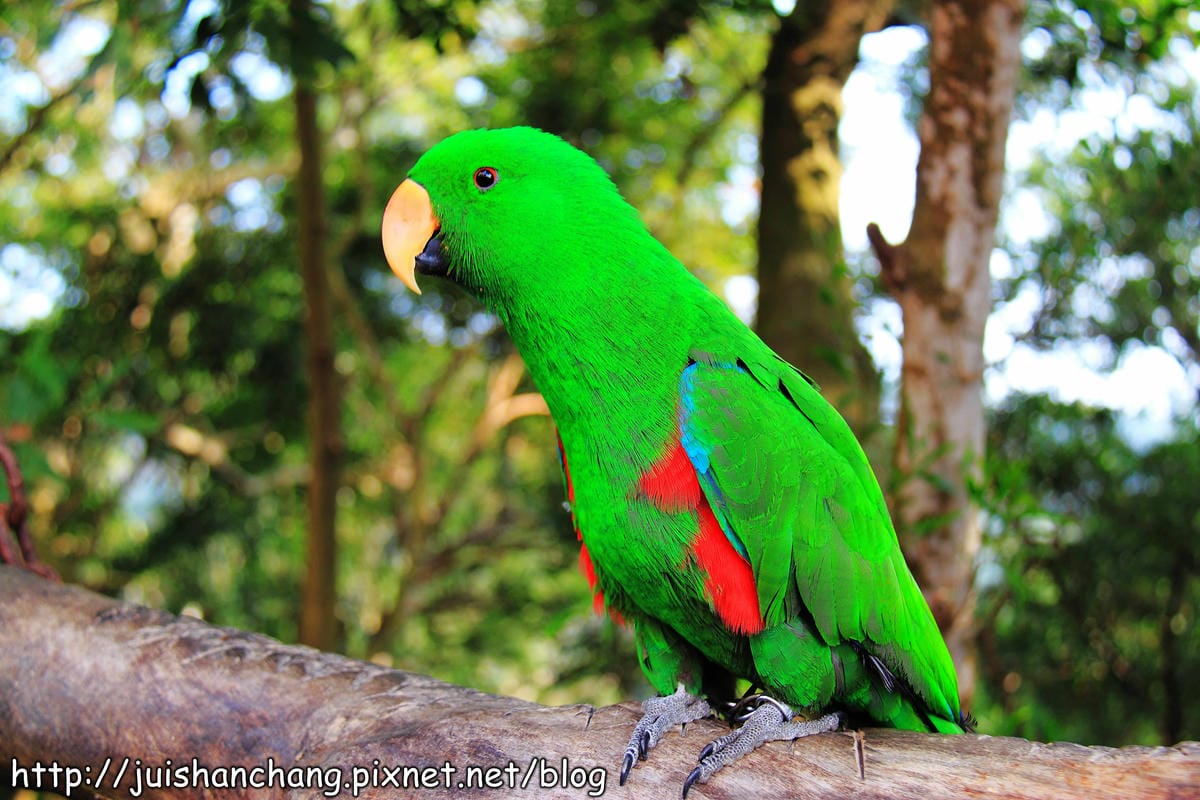 【南投猴探井旅遊景點】星月天空景觀餐廳～擁抱360度美景！