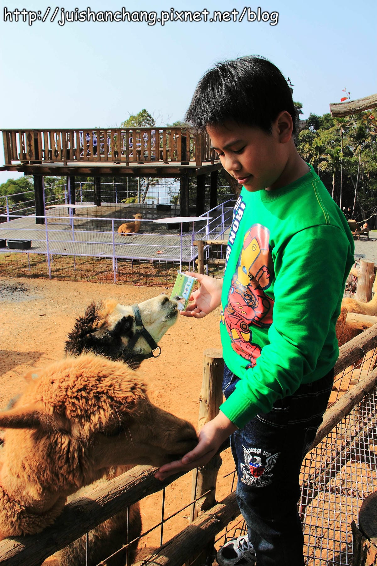【南投猴探井旅遊景點】星月天空景觀餐廳～擁抱360度美景！