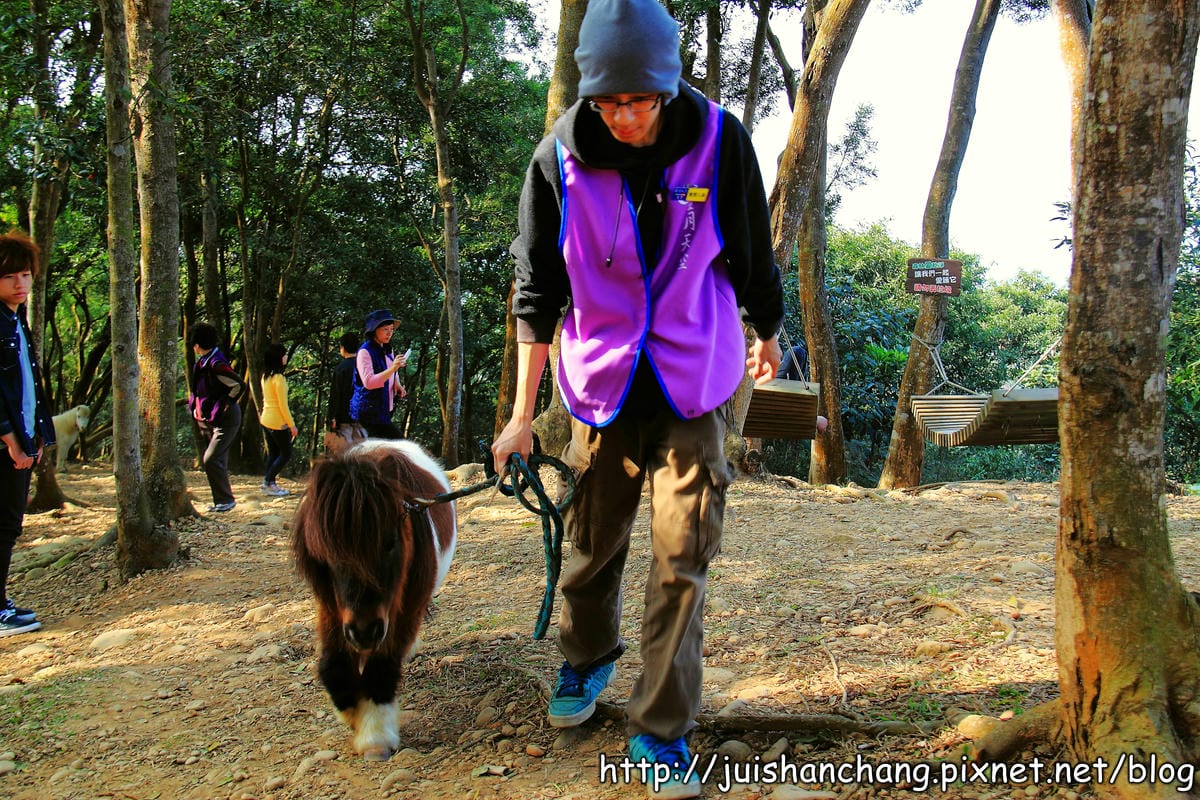 【南投猴探井旅遊景點】星月天空景觀餐廳～擁抱360度美景！