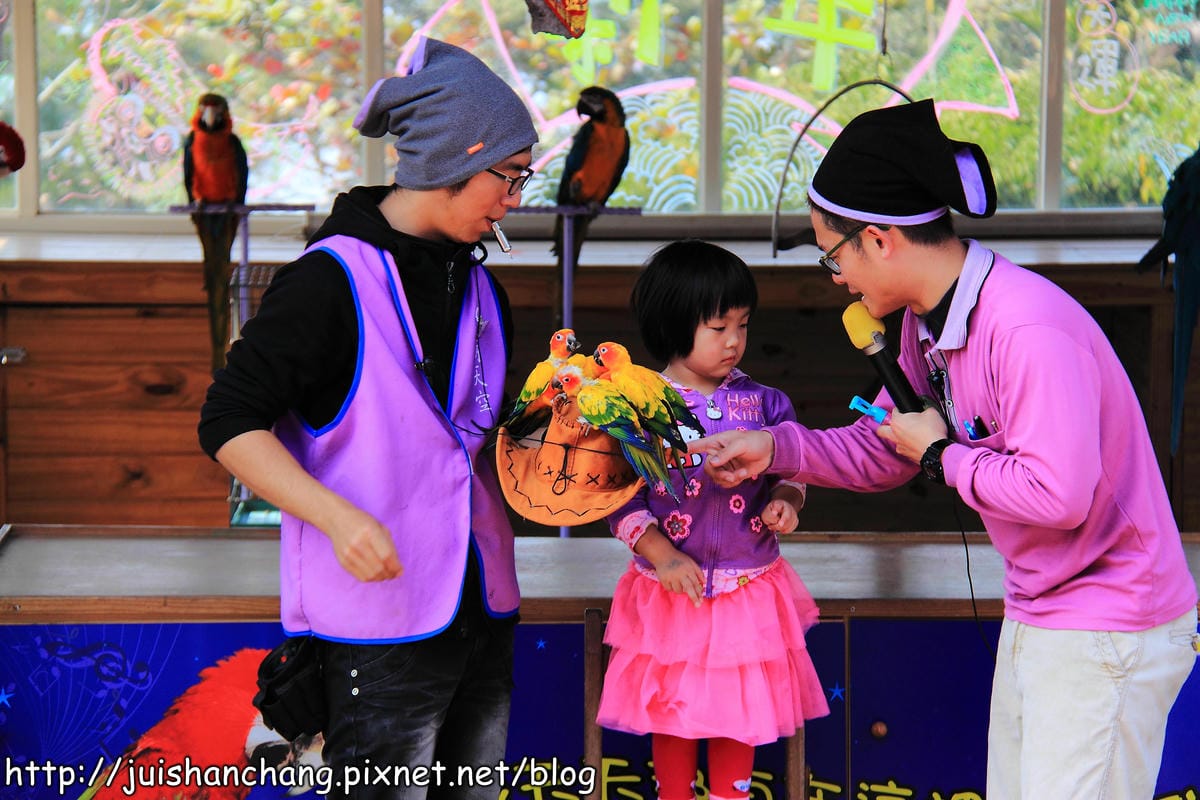 【南投猴探井旅遊景點】星月天空景觀餐廳～擁抱360度美景！