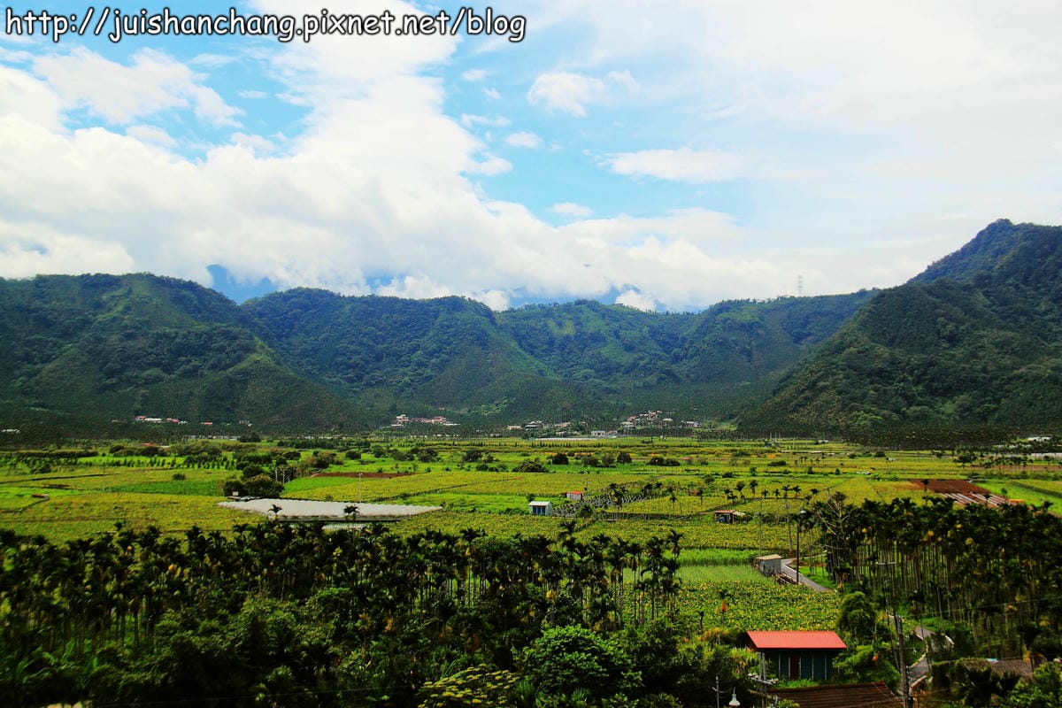 【南投日月潭旅遊景點】頭社活盆地～會跳舞的金針花！