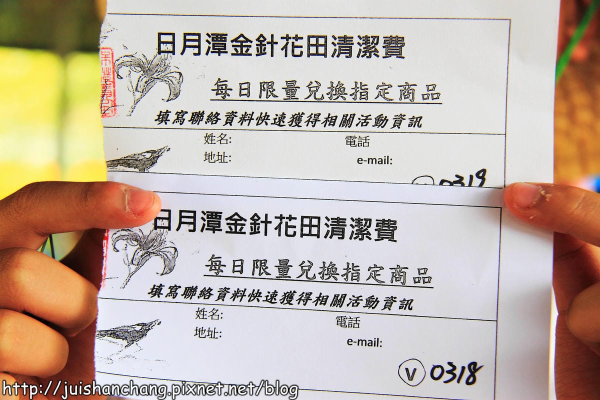 【南投日月潭旅遊景點】頭社活盆地～會跳舞的金針花！