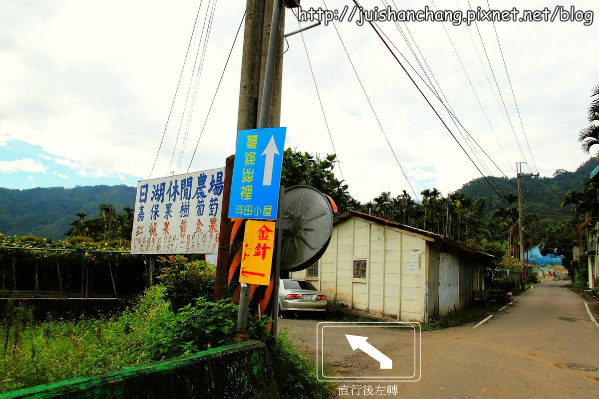【南投日月潭旅遊景點】頭社活盆地～會跳舞的金針花！