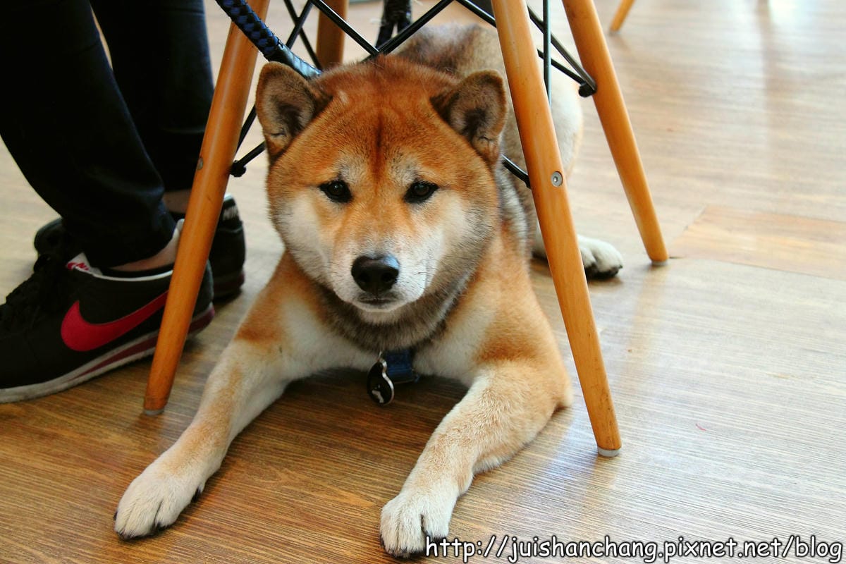 【食記—台中】Místo Caf’e 早午餐、輕食、咖啡～我要成為“海賊王”！