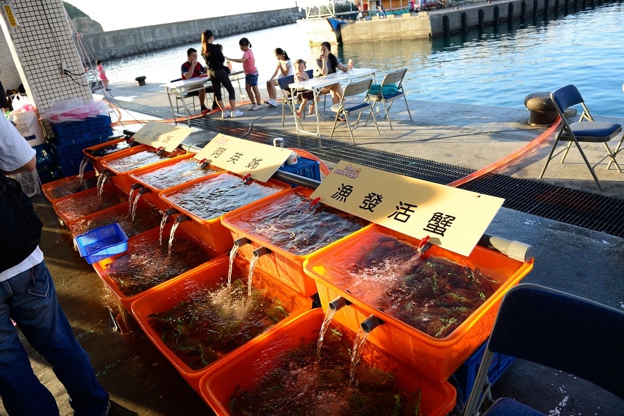 【萬里蟹鄉輕旅遊】萬里秋蟹正肥卡緊來嚐鮮