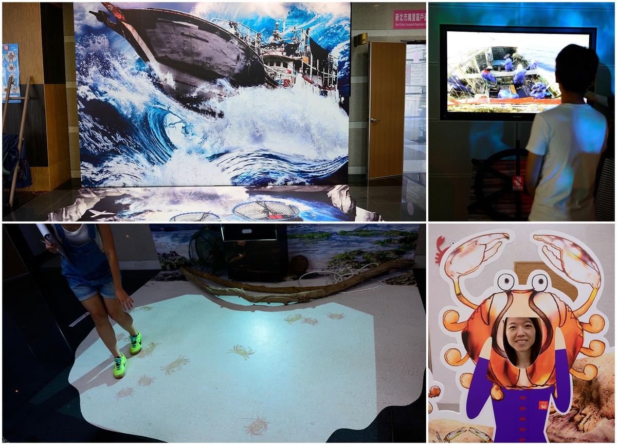 【萬里蟹鄉輕旅遊】萬里秋蟹正肥卡緊來嚐鮮