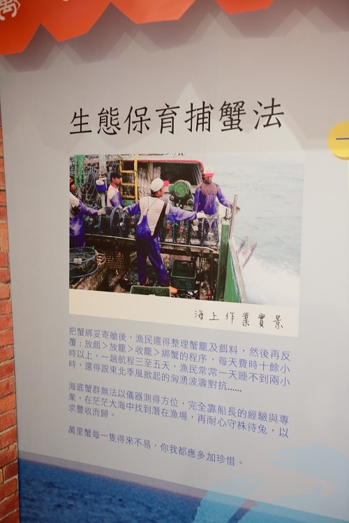 【萬里蟹鄉輕旅遊】萬里秋蟹正肥卡緊來嚐鮮