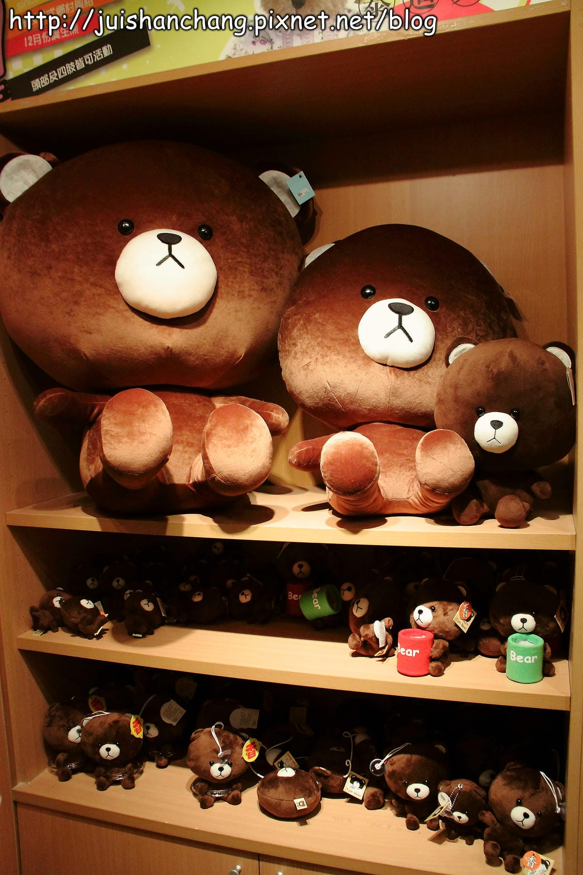 【遊記║桃園】航空熊展演館～大熊壓境？！全球最大泰迪熊登陸桃園！