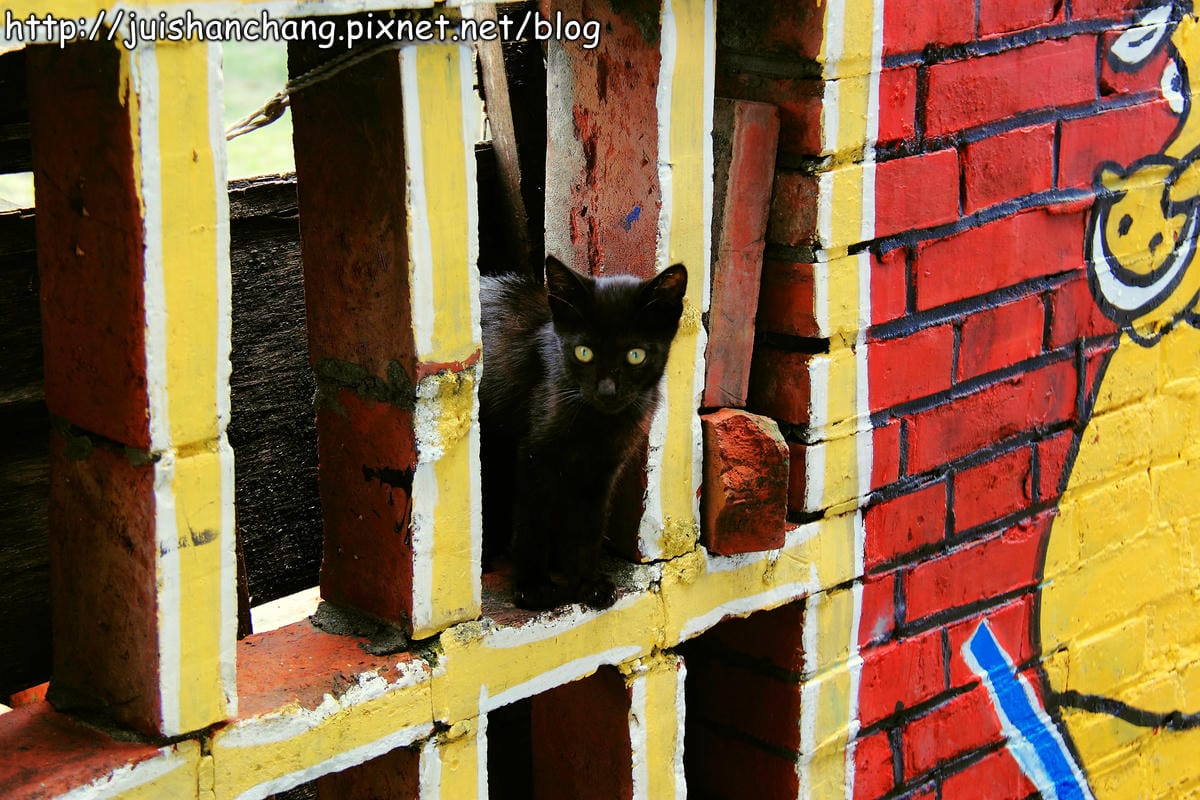 【遊記║彰化】福寶乳牛彩繪村～乳牛的故鄉，發現傳說中的藍晒圖？！