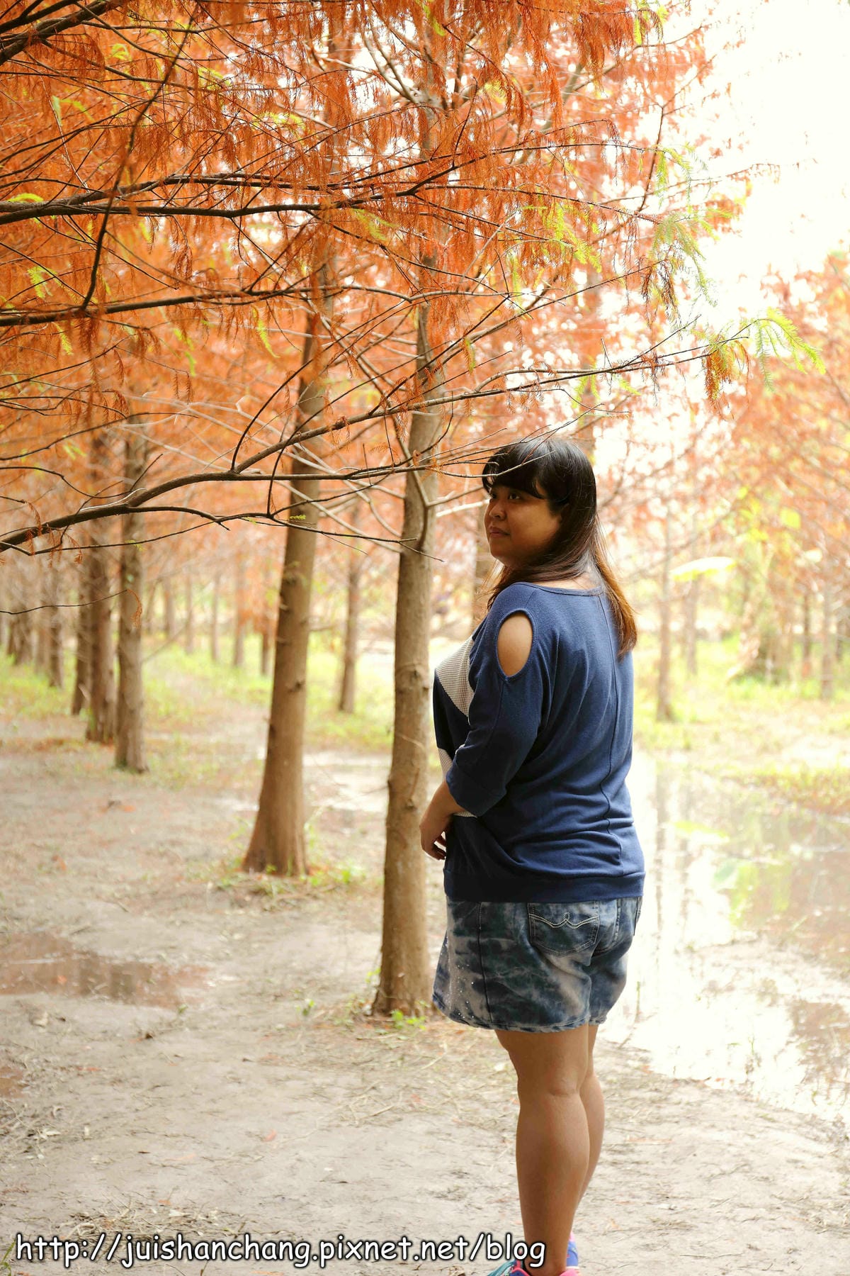 【遊記║台中】霧峰。北岸路落羽松～這不是韓國！台版冬季戀歌場景，免出國！