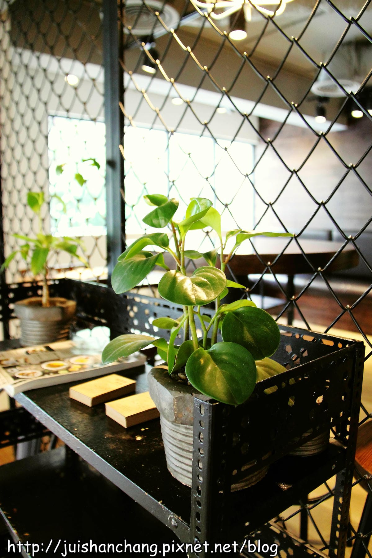 【食記║新北中和】今天不去圖書館，是要去圖書館對面吃早午餐！