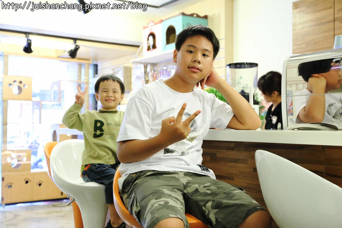 【食記║新北蘆洲】摸摸貓咖啡館～隱身巷弄中的可愛貓咪餐廳，有貓咪坐檯唷！