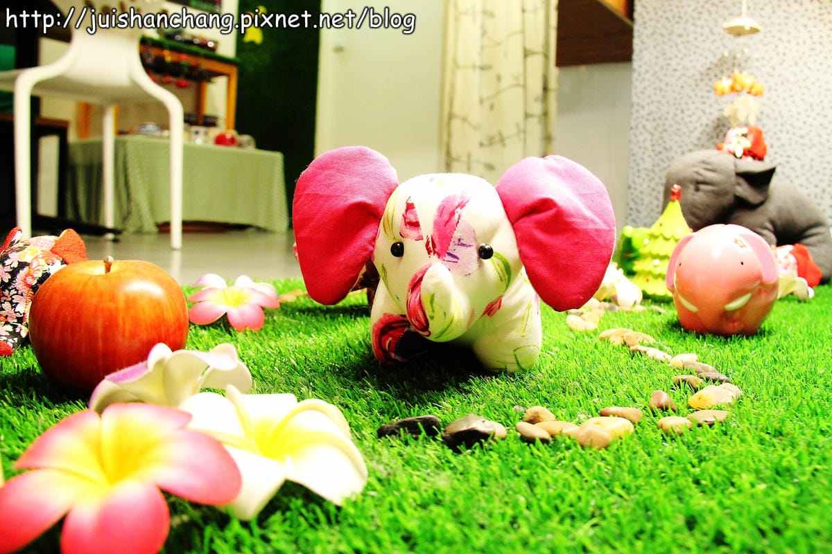 【食記║新北中和】鮮活樂早午餐。輕食。咖啡～驚！大象出現在我的早午餐裡？！