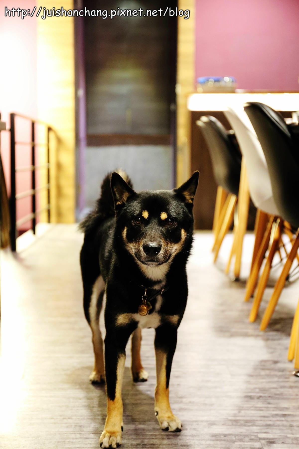 【食。三重】A-LI 阿理義式廚房～溫馨浪漫聖誕大餐，要訂要快！！（有正妹和帥哥在此等你唷！！）