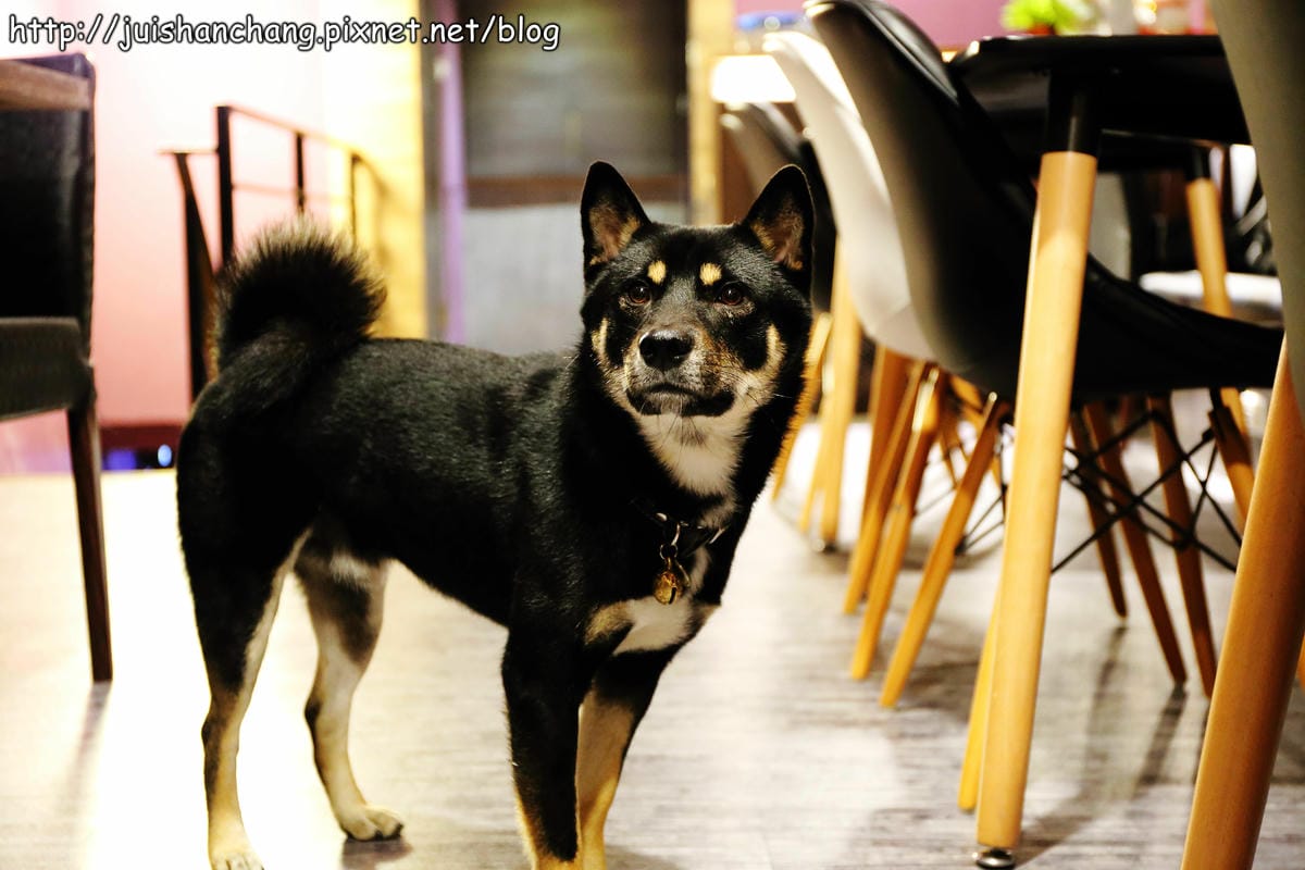 【食。三重】A-LI 阿理義式廚房～溫馨浪漫聖誕大餐，要訂要快！！（有正妹和帥哥在此等你唷！！）