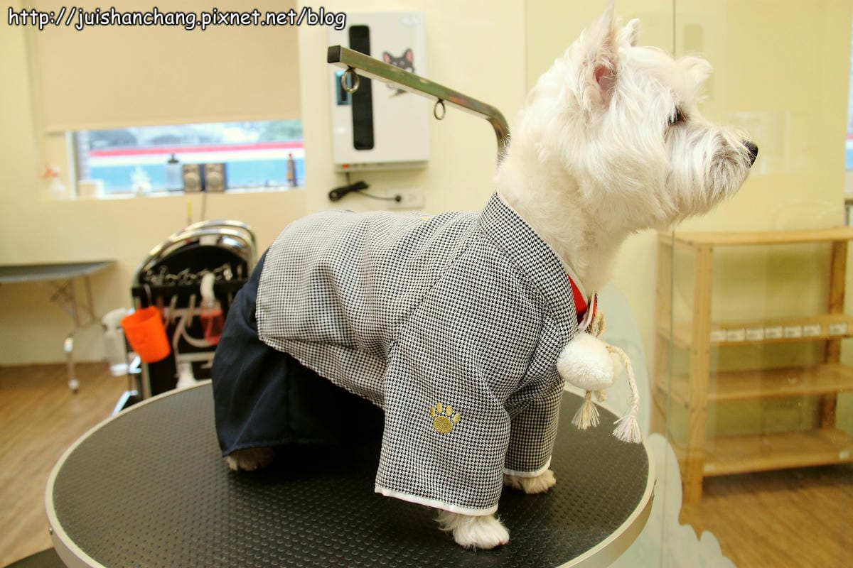 【廣宣‖寵物】Puppy Castle – 帕彼創意寵物生活館～狗狗過新年穿新衣，Showtime！