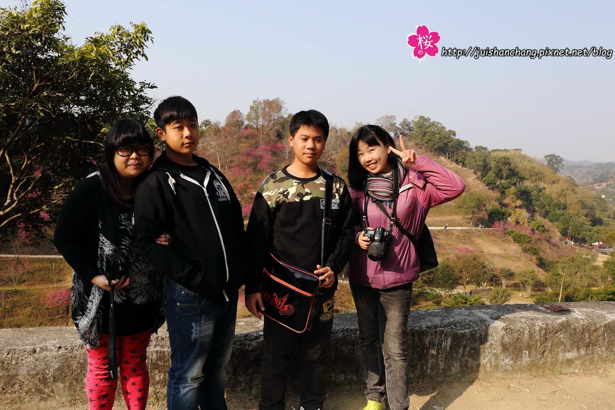 【遊‖台中】大坑濁水巷櫻花林～滿山櫻花綻放，來場粉紅色浪漫約會♥♥♥
